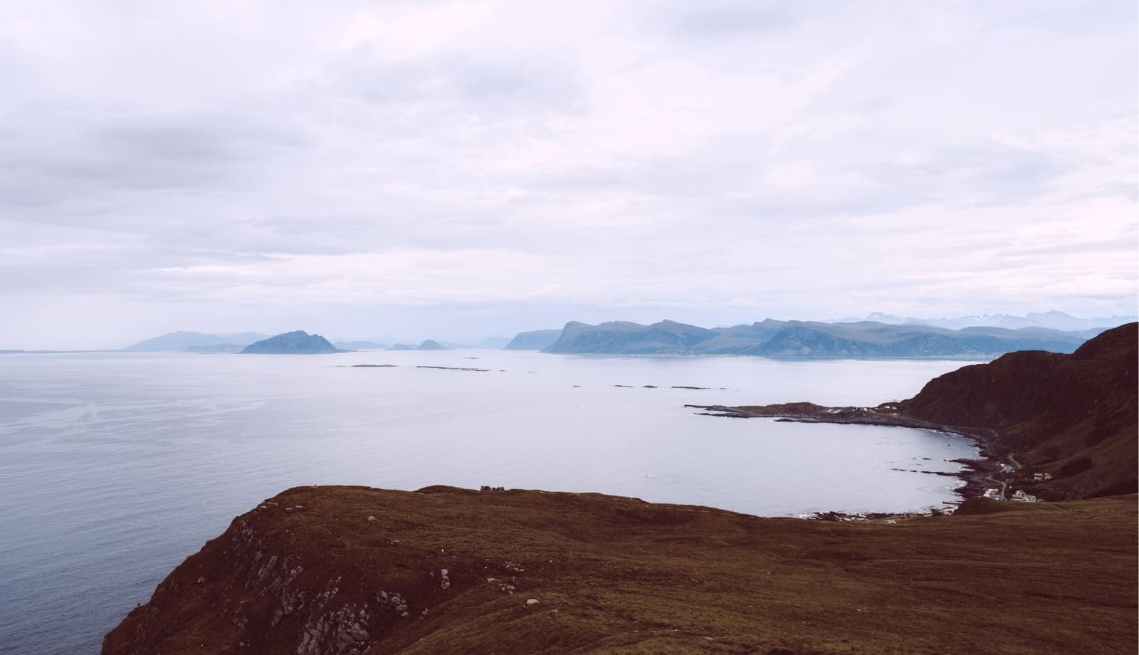 تور حیات وحش